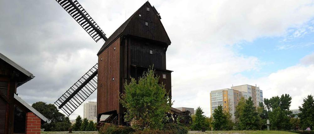 Die Marzahner Mühle. Hier wird noch Korn gemahlen.