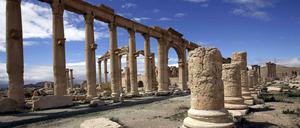 Die syrische Stadt Palmyra ist offenbar vollständig unter die Kontrolle der IS-Milizen gefallen.