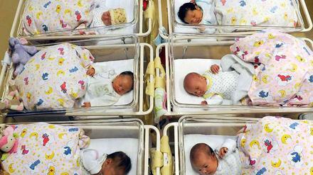 Die Fußball-WM in Brasilien führte zu keinem "Baby-Boom".
