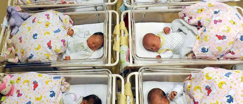 Die Fußball-WM in Brasilien führte zu keinem "Baby-Boom".