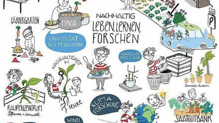 So sieht das nachhaltige Studium aus der Sicht von Sophia Halamoda aus. 