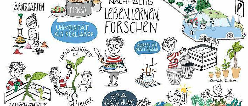 So sieht das nachhaltige Studium aus der Sicht von Sophia Halamoda aus. 
