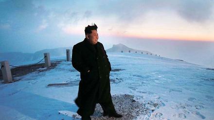 Ein Bild aus den Medien in Nordkorea: Machthaber Kim Jong Un auf dem 2750 Meter hohen Berg Paektu.