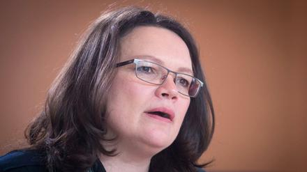 Bundesarbeitsministerin Andrea Nahles (SPD)