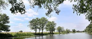 Der Nationalpark Unteres Odertal, aufgenommen im Sommer 2014.