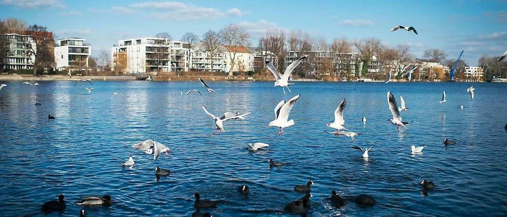 Berlin und Brandenburg sollen an diesem Wochenende frühlingshaft warm werden. Das Bild zeigt das Spreeufer im Treptower Park.