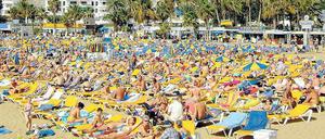 Gran Canaria ausgebucht? Keineswegs, auch wenn allgemein für den Sommer die Auftragsbücher schon gut gefüllt sind.