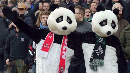 Wollen sich keinen Bären aufbinden lassen: Die bundesweite Interessenvertretung für aktive Fan- und Ultragruppen Pro Fans hat sich mit einem offenen Brief gegen die Öffnung des Spielplans für Neuerungen ausgesprochen.