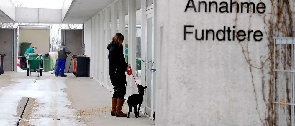 Ab ins Heim. Während der Feiertage wurde ein Dutzend Tiere in die Obhut der Helfer übergeben.