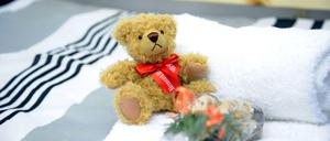 Ein Teddy muss schon sein als Berliner Begrüßungsgeschenk.