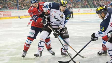 Berlins Laurin Braun (l) und Ingolstadts Benedikt Schopper (r) kämpfen um den Puck.