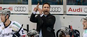 Unerwartete Auszeit. Am Dienstag trennten sich die Eisbären Berlin von Trainer Jeff Tomlinson.