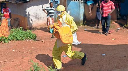 Unter den Ebola-Toten in Freetown sind auch viele Kinder.