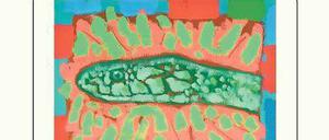 Buchcover zu Meir Shalevs "Zwei Bärinnen".