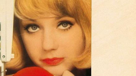 Nähmaschinen und Stabmixer waren die Top-Themen im ersten Test-Heft.