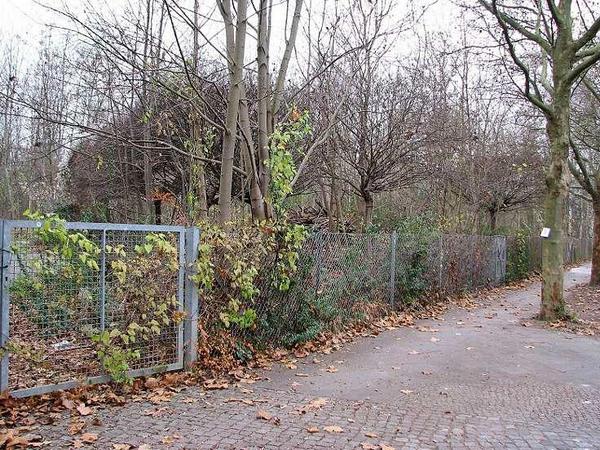  In wenigen Wochen werden hier am Ostpreußendamm die Vorbereitungen für die Bauarbeiten zu dem Wohncontainerdorf für traumatisierte und kranke Flüchtlinge beginnen 