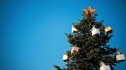 Weihnachtsbaum.