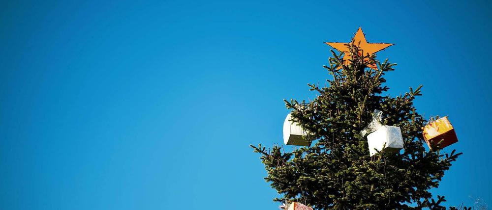 Weihnachtsbaum.