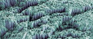 Das härteste Material im Körper. Zahnschmelz (hier eine Bruchstelle unter dem Elektronenmikroskop) ist extrem widerstandsfähig. Der Grund sind Netzwerkstrukturen aus Kristallfasern.