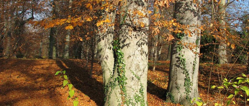 Idyllisch. Foto: Anett Kirchner