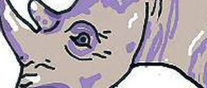 Ein robuster Dickhäuter: das Nashorn.