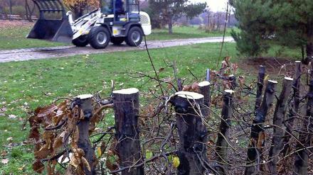 Schnipp, schnapp, Hecke ab.
