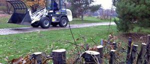 Schnipp, schnapp, Hecke ab.