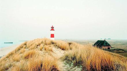 Einsames Idyll. Im November ist Sylt verwaist.