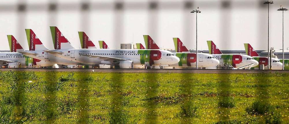 Flugzeuge der TAP-Airlines.