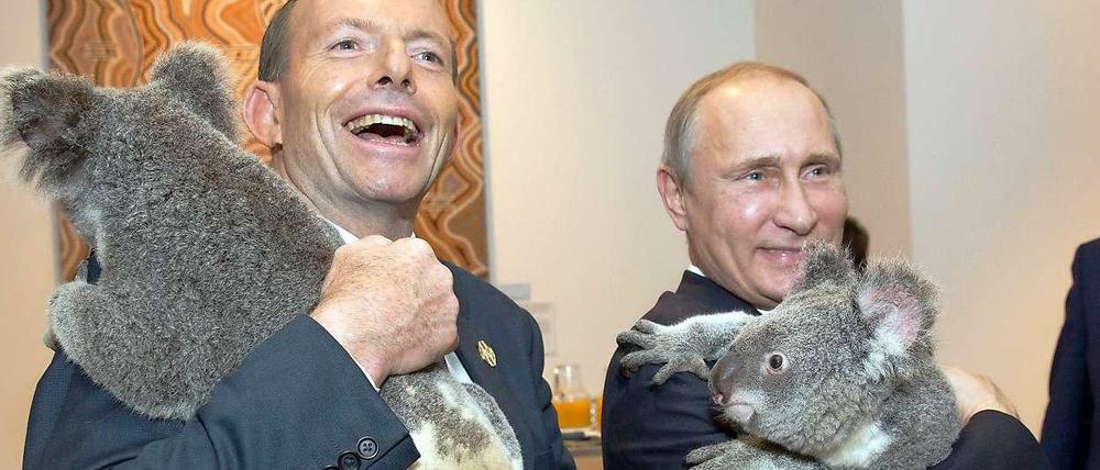 Der australische Premier Tony Abbott und der russische Präsident Wladimir Putin halten zwei Koalabären im Arm.