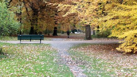 Der Große Tiergarten.