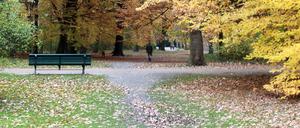 Der Große Tiergarten.