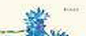 Cover des Ulla-Hahn-Bildungsromans