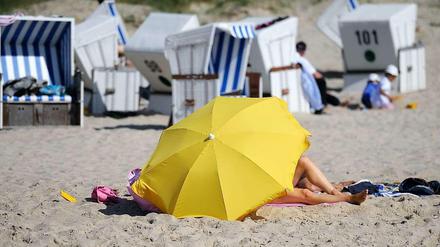 Sonne tanken. Die Sehnsucht nach Sonne hat möglicherweise eine dunkle Seite - durch UV-Licht produzieren Mäuse einen Stoff, der süchtig macht.