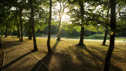 Landschaft und Natur sowie Artenvielfalt wollen die Deutschen unbedingt erhalten – aber wie?