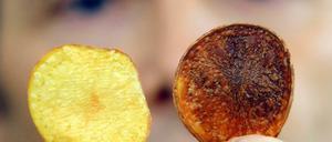 Zwei Mikrochips, wie Deutsche sie kennen.