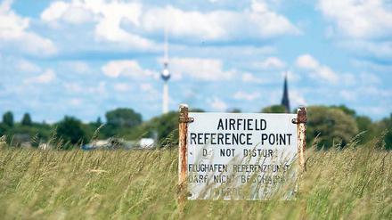 Grünes Großstadtidyll. Das Parkmanagement am Tempelhofer Feld richtet sich nach den Bedürfnissen des Bodenbrüters