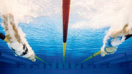 Die deutschen Meisterschaften im Schwimmen finden vom 1. bis 4. Mai im Berlin statt.