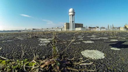 Die rot-schwarze Koalition setzt dem Volksentscheid über das Tempelhofer Feld in Berlin einen eigenen Gesetzentwurf gegenüber: Nur die äußeren Ränder des Areals sollen demnach behutsam bebaut werden. 