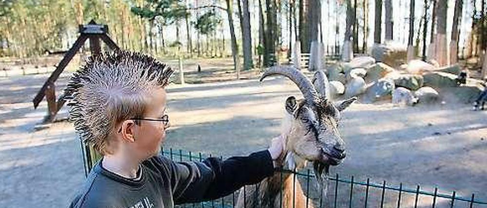Städter raus in die Natur, zum Beispiel in die schöne Schorfheide! Und sogar das Wetter soll mitspielen - mehr unter www.tagesspiegel.de/wetter.