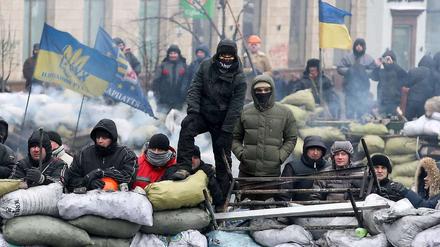 Demonstranten in Kiew.