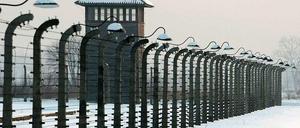 Auschwitz-Birkenau