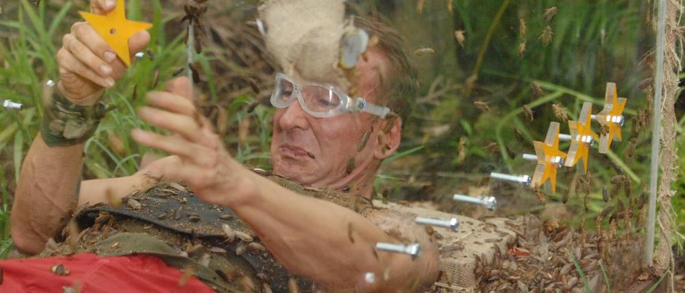 Kurz drin - und schon wieder draußen. Herr Bendel im Kakerlagen-Sarg. Alle Infos zu "Ich bin ein Star - Holt mich hier raus!" im Special bei RTL.de. 