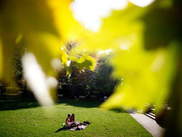 Der Wilmersdorfer Volkspark