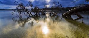 Malerisch: Der Stechlinsee in Brandenburg.