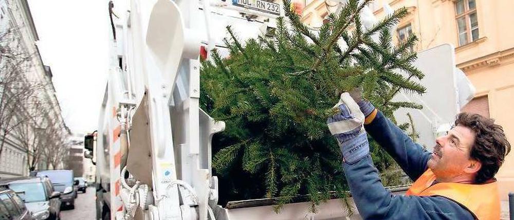 Und weg damit. Die BSR sammelt die Bäume ein. Foto: dpa
