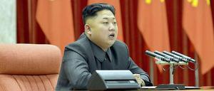 Nordkoreas Diktator Kim Jong Un