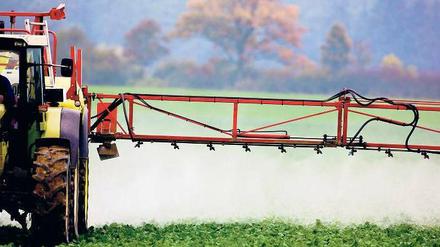 Gefahr oder Nutzen? In der weitgehend industrialisierten Landwirtschaft Brandenburgs wird Glyphosat auf den Monokulturen in immer größeren Mengen versprüht. Foto: Paul Zinken/dpa