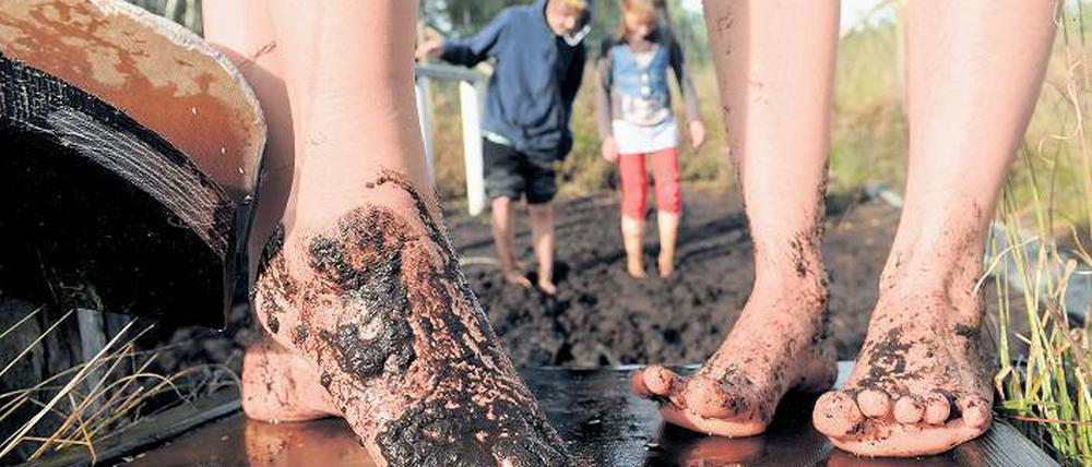 Einfach mal reintreten. Der Moorlehrpfad im niedersächsischen Esterwegen macht vor allem Kindern Spaß.