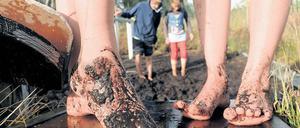 Einfach mal reintreten. Der Moorlehrpfad im niedersächsischen Esterwegen macht vor allem Kindern Spaß.